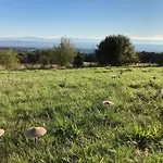 Domaine De Campras Oda ve Kahvaltı Saissac