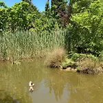 Oda ve Kahvaltı Domaine De Campras Saissac