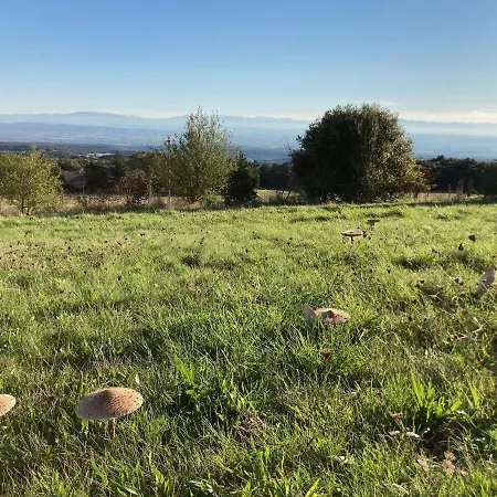 Domaine De Campras Couette-café Saissac
