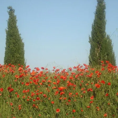 Domaine De Campras ベッド・アンド・ブレックファスト Saissac