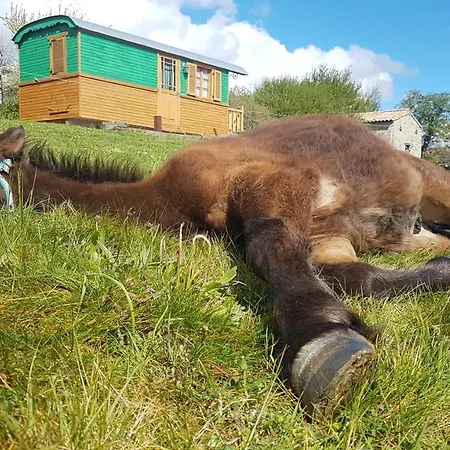 Domaine De Campras ベッド・アンド・ブレックファスト