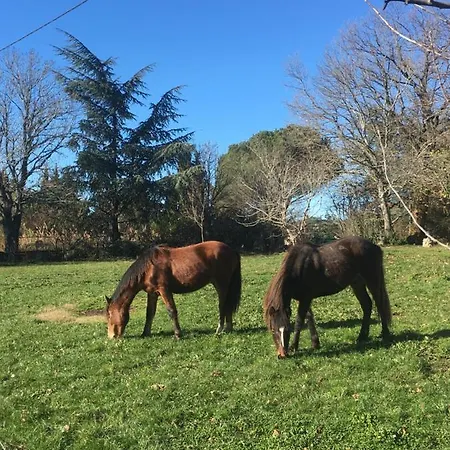 Domaine De Campras Saissac