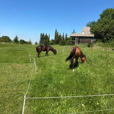 Domaine De Campras ベッド・アンド・ブレックファスト Saissac