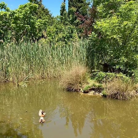 ベッド・アンド・ブレックファスト Domaine De Campras Saissac