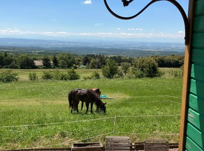 Bed & Breakfast Domaine De Campras 3*